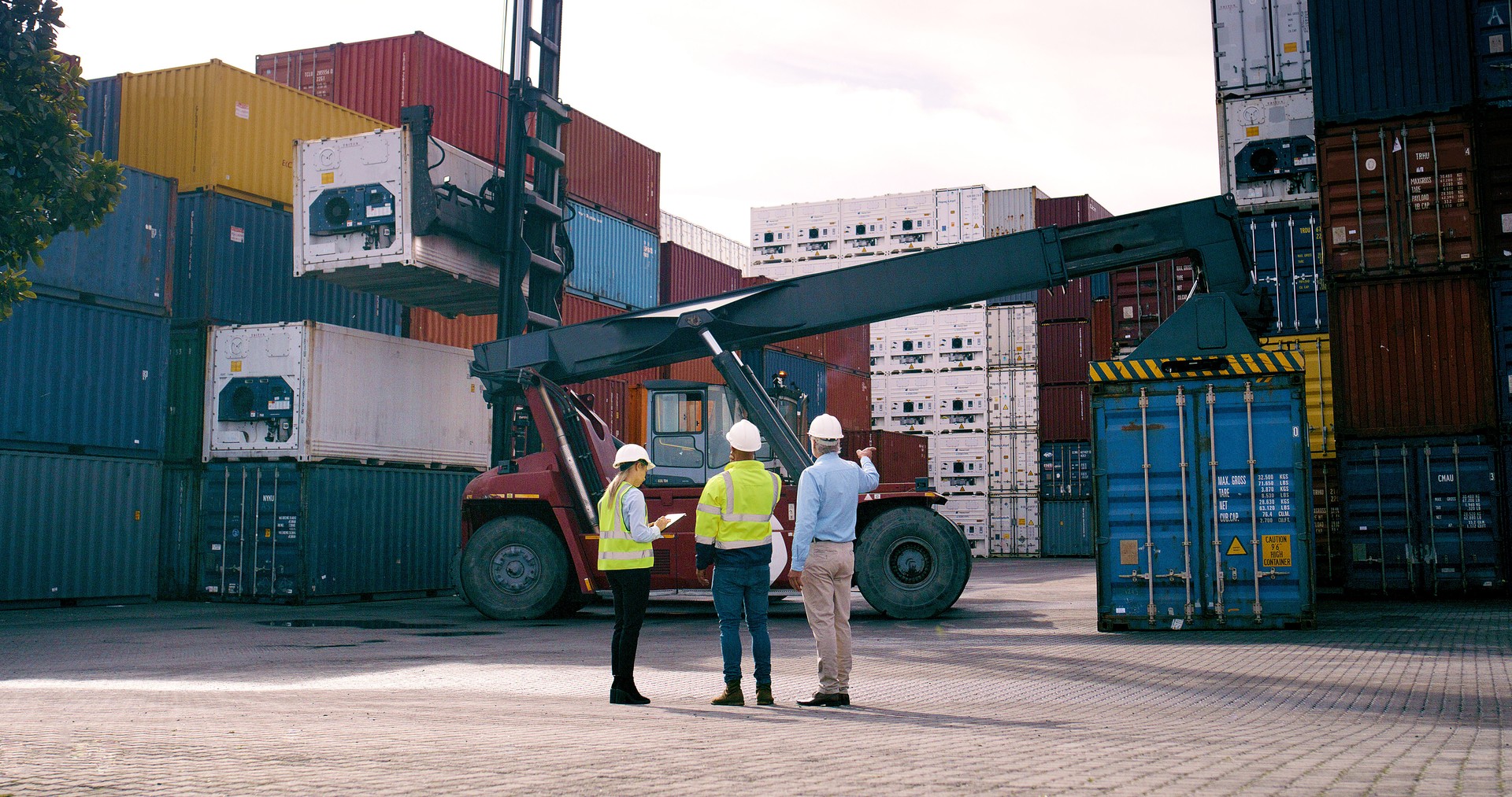 Container, pointing and supervisor talking to staff at commercial dock for supply chain logistics. Back, conversation and shipping with team of people at harbor together for export or import